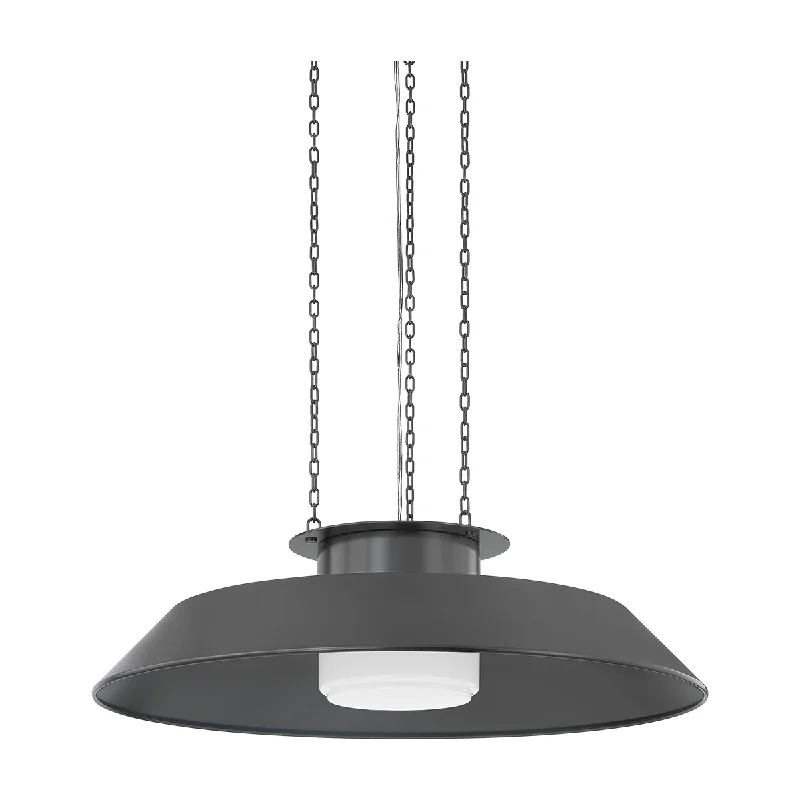 Track lighting with adjustable armsWoodrow Pendant