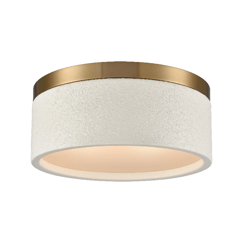 Smart track lighting with voice controlEngel 12" Wide 2-Light Flush Mount