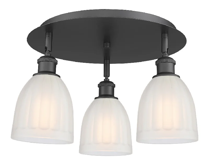Explosion - Proof Industrial Lighting for Hazardous LocationsDowntown Urban Three Light Flush Mount Explosion - Proof Industrial Lighting for Hazardous LocationsDowntown Urban Three Light Flush Mount