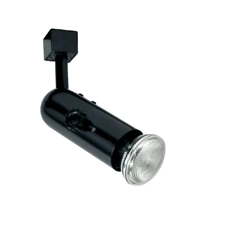 Track lighting for small apartmentsNTH-119S - Silver 1 Lt. Track Head