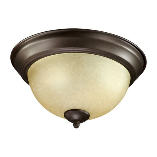 Commercial - grade track lighting for stores3073-11-86 - Oiled Bronze 2 Light Transitional Flush Mount Commercial - grade track lighting for stores3073-11-86 - Oiled Bronze 2 Light Transitional Flush Mount