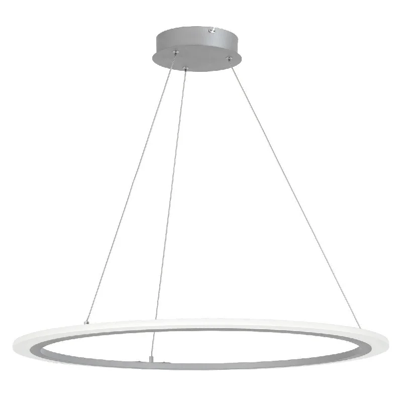 Corrosion - Resistant Industrial Lighting for Coastal FactoriesDiscovery 31 in. Pendant Light Silver finish