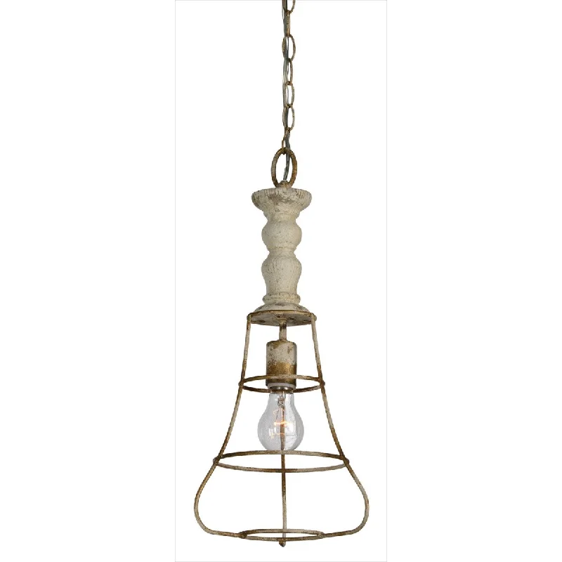 Track lighting with a brushed nickel finishForty West Designs 70720 Earl 1 Light Vintage Cage Pendant Track lighting with a brushed nickel finishForty West Designs 70720 Earl 1 Light Vintage Cage Pendant