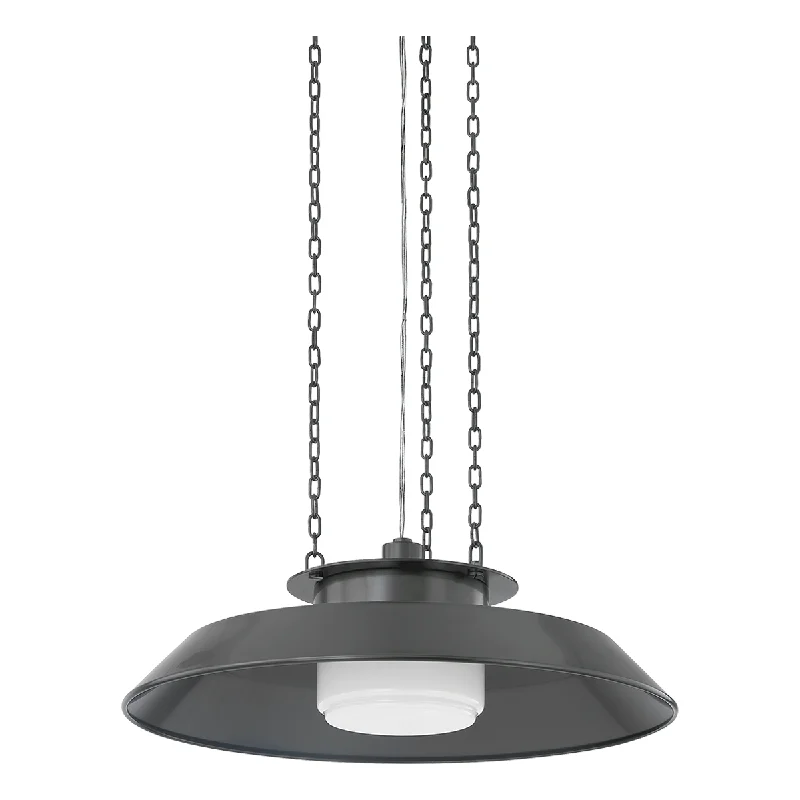 Track lighting for outdoor gardensWoodrow Pendant