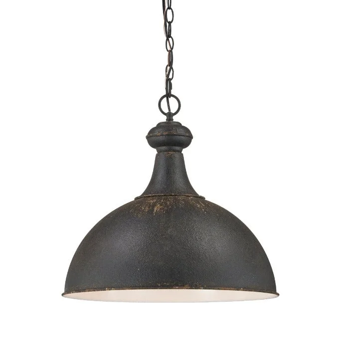 Smart track lighting with voice controlForty West Designs 72572 Carrington Black Metal Farmhouse Pendant
