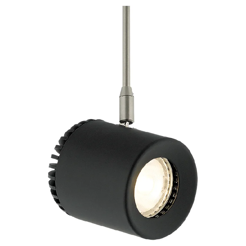 Track lighting with adjustable armsBurk Head MonoRail 3"