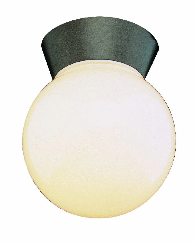 Smart track lighting with voice controlTrans Globe 4850 BK One Light Flush mount, Black Smart track lighting with voice controlTrans Globe 4850 BK One Light Flush mount, Black